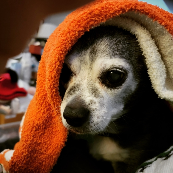 I'M DENISE... - Picture 12 of 13